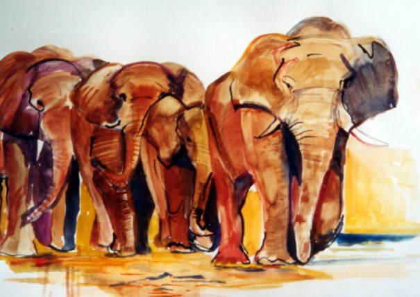 Elephant Family 
